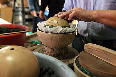 ハナビリウムカット３