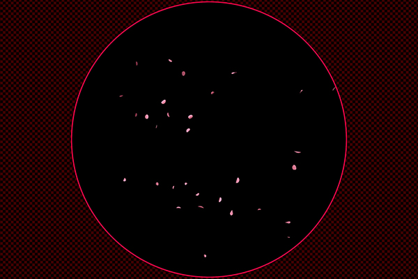 Cherry blossoms fluttering type2