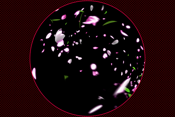 Falling cherry-blossoms type2