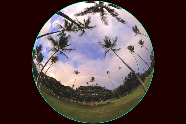 Evening of Kapiolani Park_01