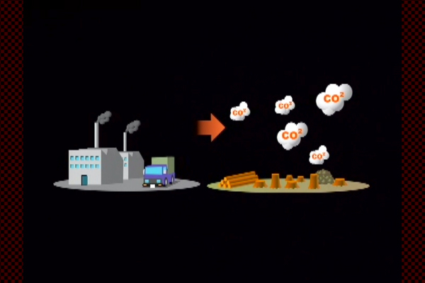 Deforestation and Carbon dioxide