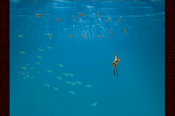 Sea life of primitive