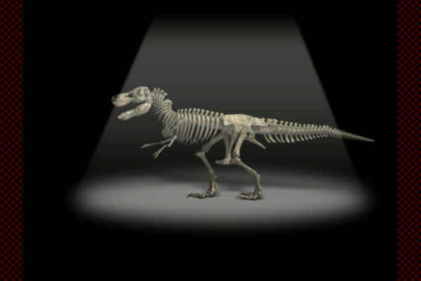 Tyrannosaurus(Bone)