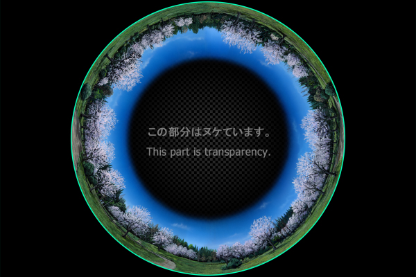 Park blooming cherry tree