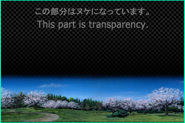 Park blooming cherry tree