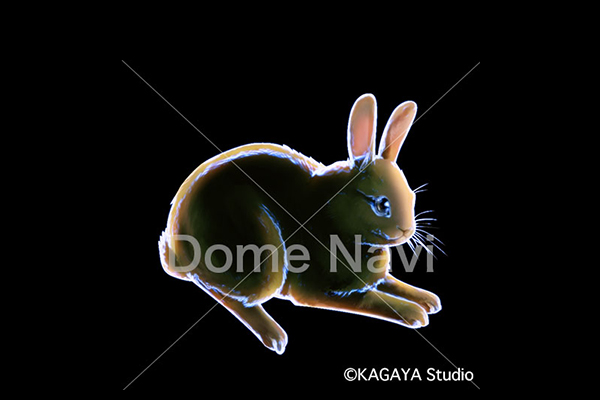 うさぎ座KAGAYA星座絵