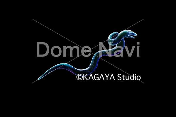 うみへび座KAGAYA星座絵