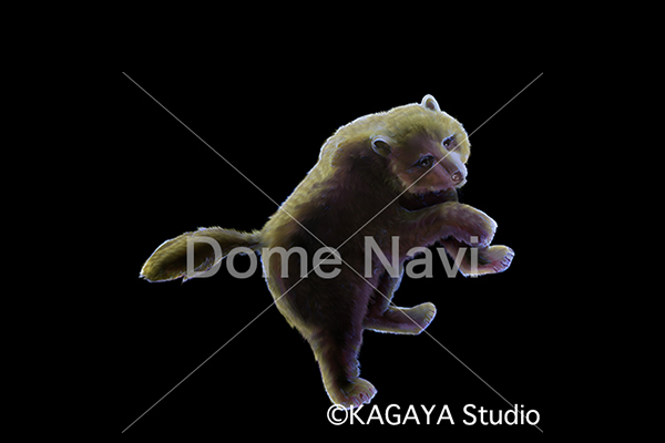 おおぐま座KAGAYA星座絵