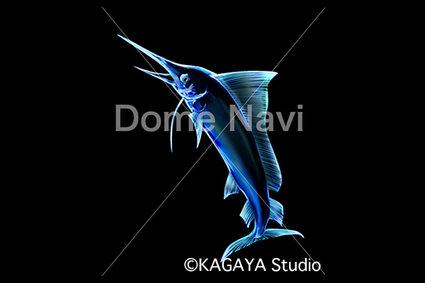 かじき座KAGAYA星座絵