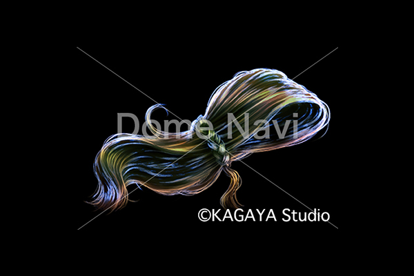 かみのけ座KAGAYA星座絵