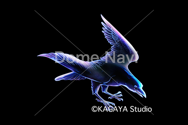 からす座KAGAYA星座絵