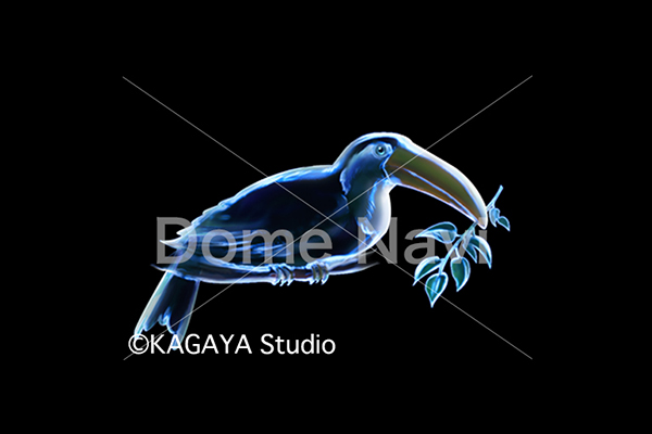 きょしちょう座KAGAYA星座絵