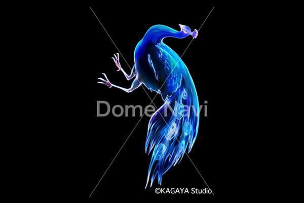 くじゃく座KAGAYA星座絵