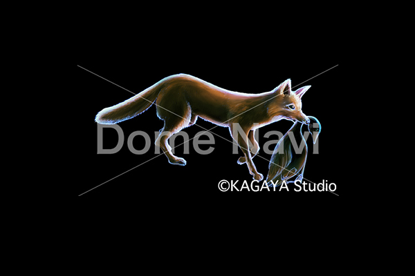 こぎつね座KAGAYA星座絵