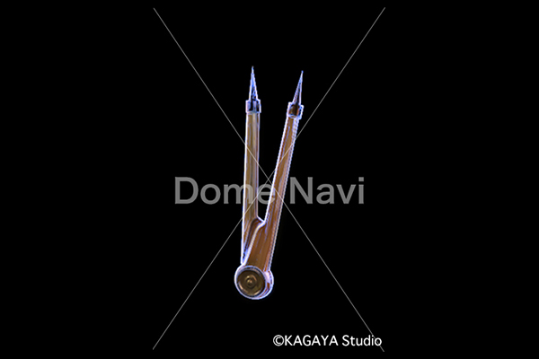 コンパス座KAGAYA星座絵