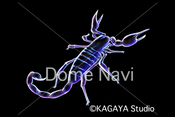 さそり座KAGAYA星座絵