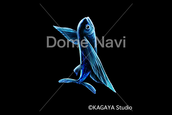 とびうお座KAGAYA星座絵