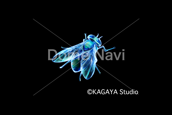 はえ座KAGAYA星座絵