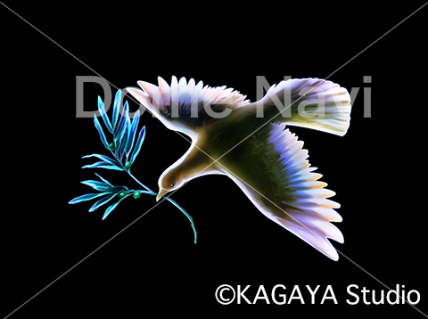 はと座KAGAYA星座絵