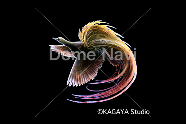 ふうちょう座KAGAYA星座絵