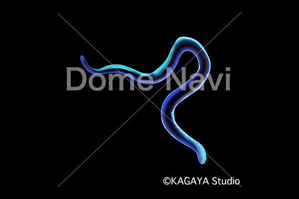 みずへび座KAGAYA星座絵