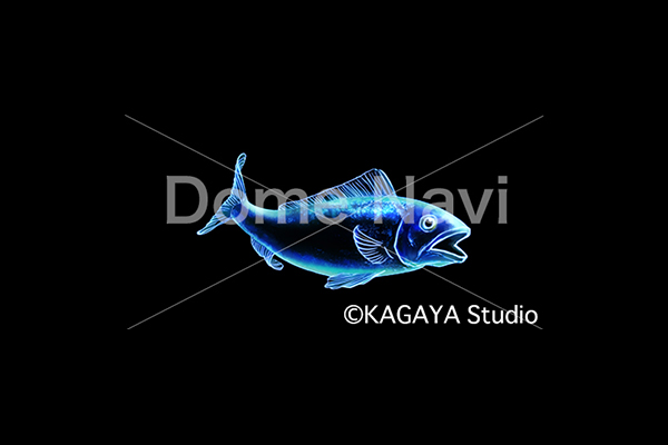 みなみのうお座KAGAYA星座絵