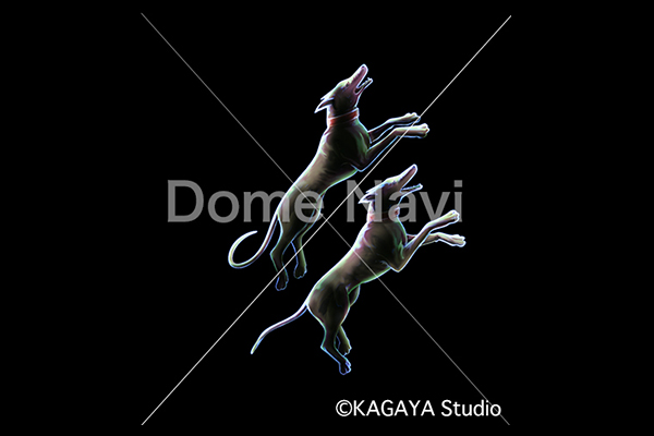 りょうけん座KAGAYA星座絵