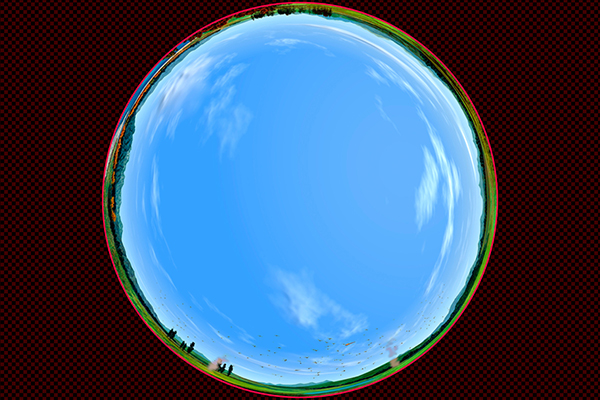 トンボの飛ぶ田園