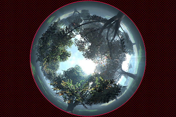 森の中をドリー