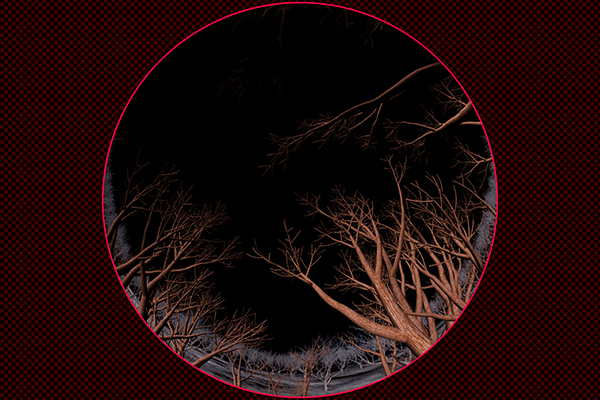 冬枯れの木々を抜ける