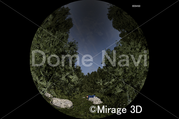 小径を歩くダーウィン