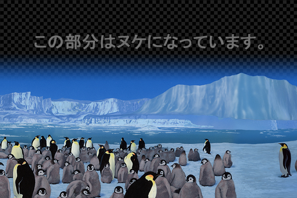 ペンギンの群れ